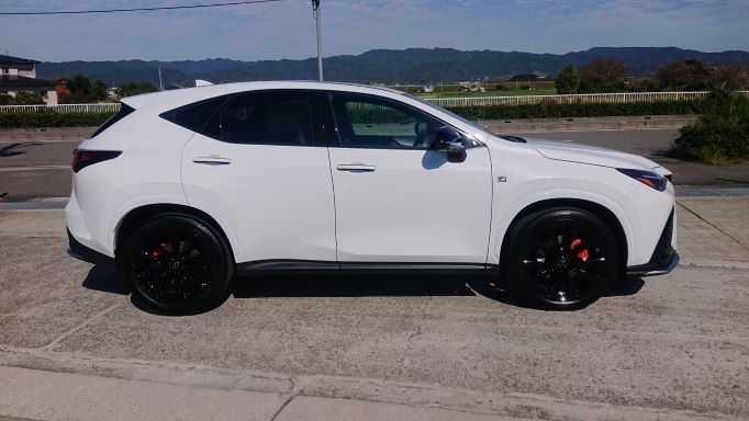 ����å��ǲ�����ɽ��