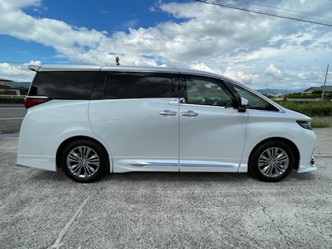 ����å��ǲ�����ɽ��