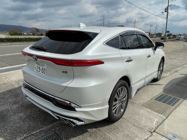 ����å��ǲ�����ɽ��