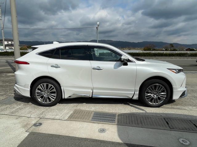 ����å��ǲ�����ɽ��