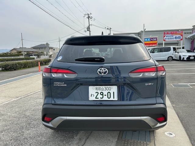 ����å��ǲ�����ɽ��