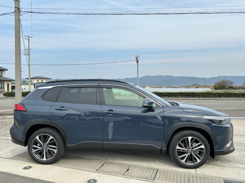 ����å��ǲ�����ɽ��