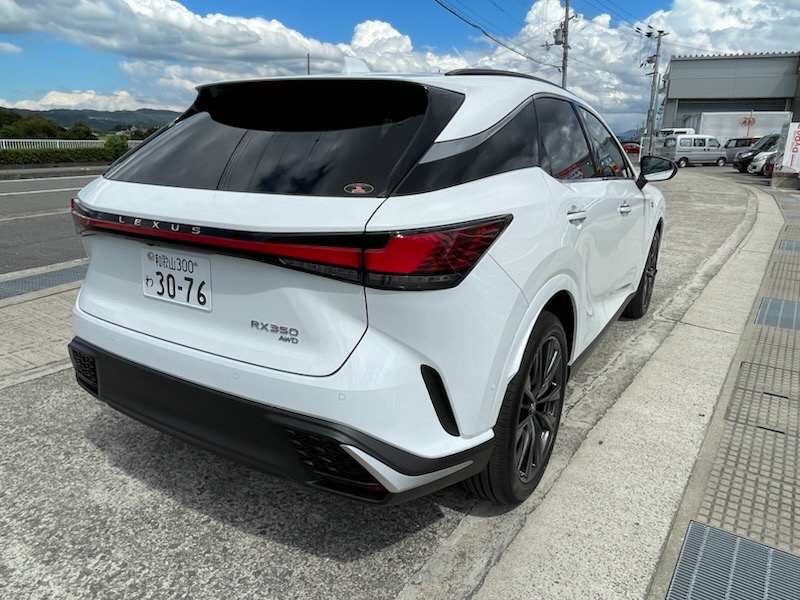 ����å��ǲ�����ɽ��