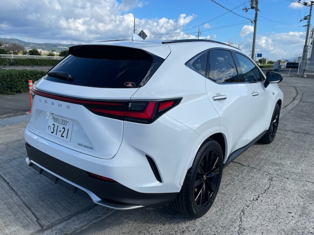 ����å��ǲ�����ɽ��